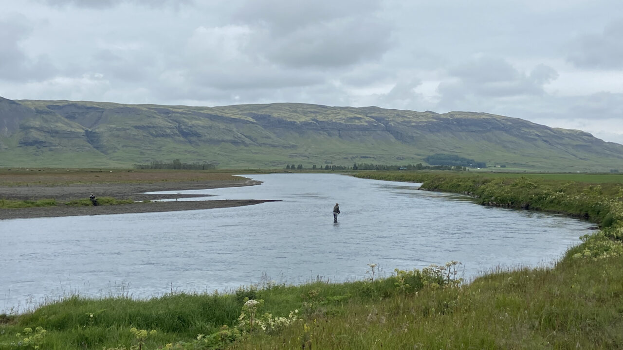Fishing - Europe - Iceland - Stora Laxa