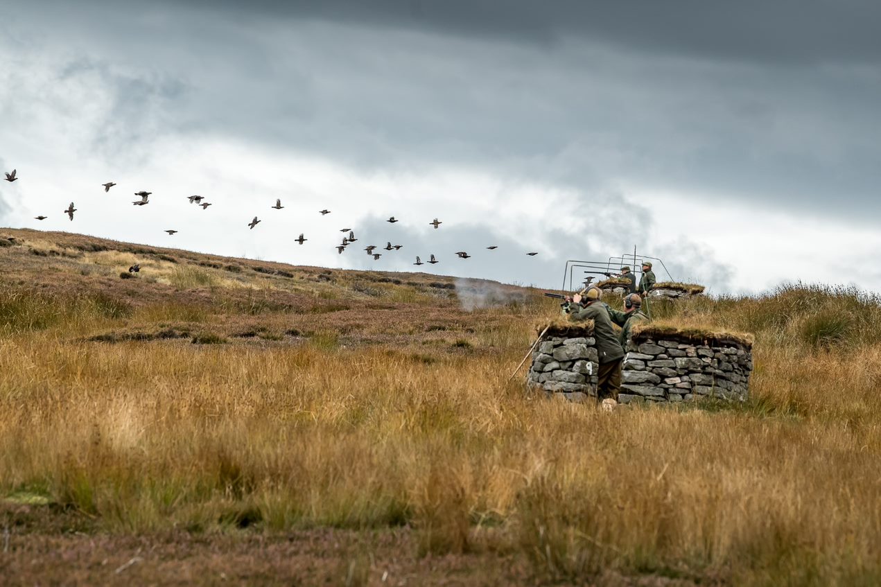 The 2023 Grouse Season Prospects