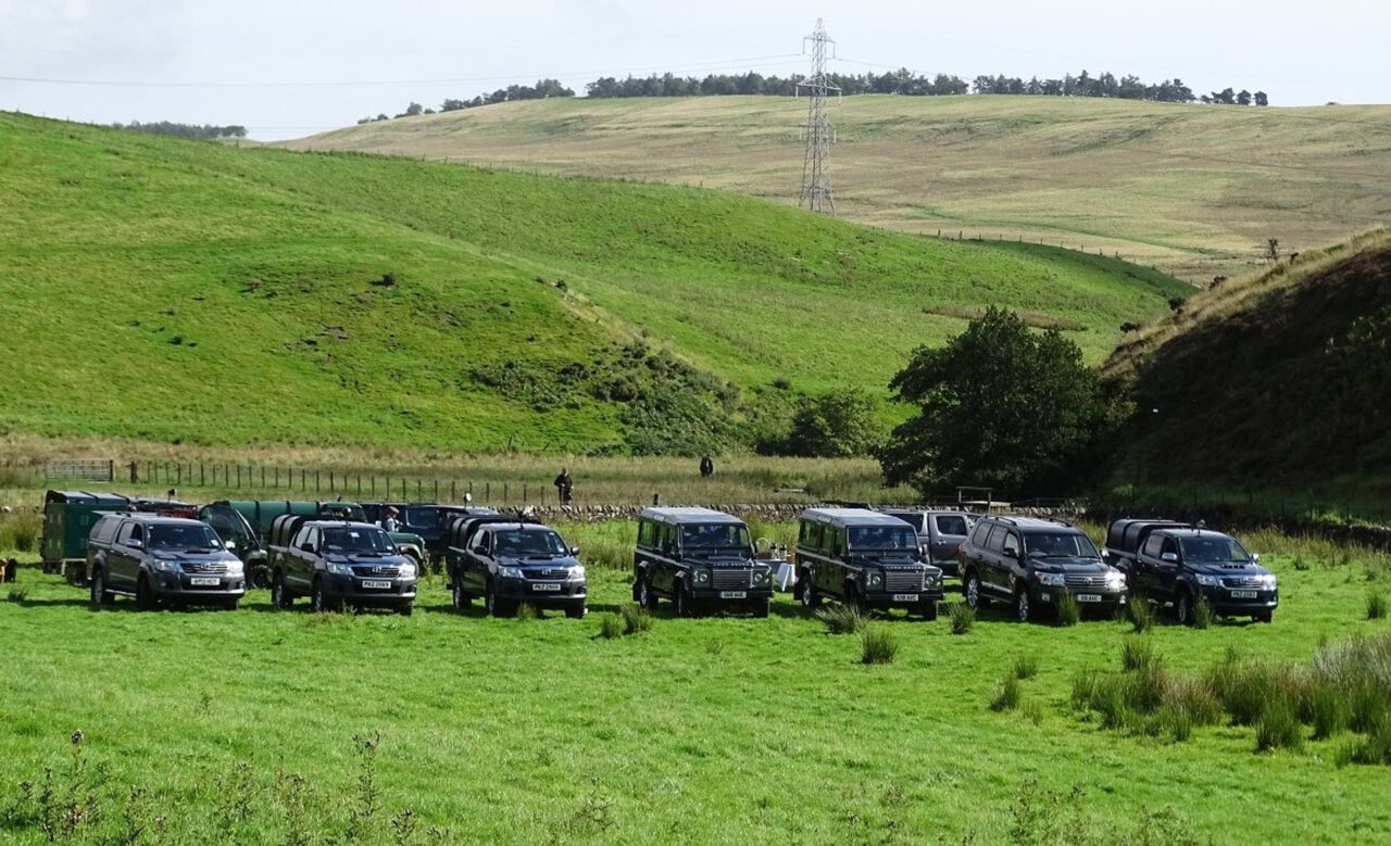 Glenogil Estate