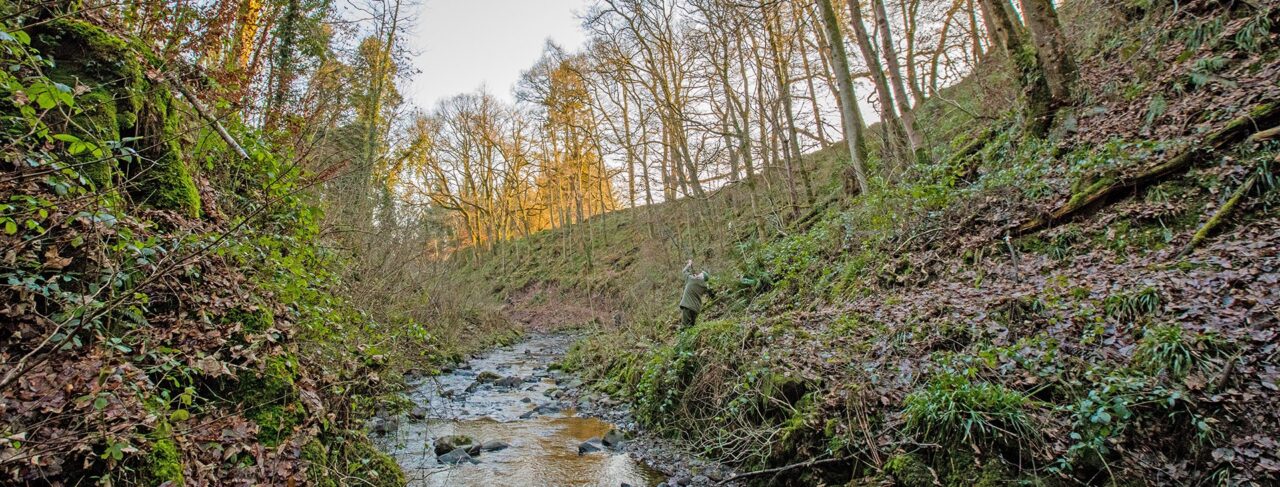 Nith Valley Sporting