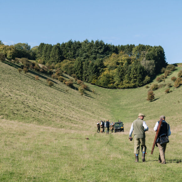 Prescombe, Wiltshire partridge shoot