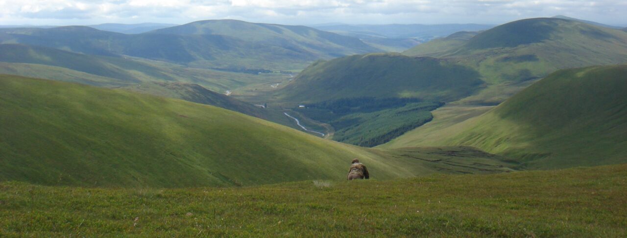 Tulchan Lodge