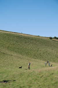 Roving syndicate partridge day in Prescombe, Wiltshire