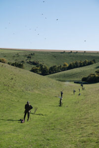 Partridge shooting at Prescombe, Wiltshire
