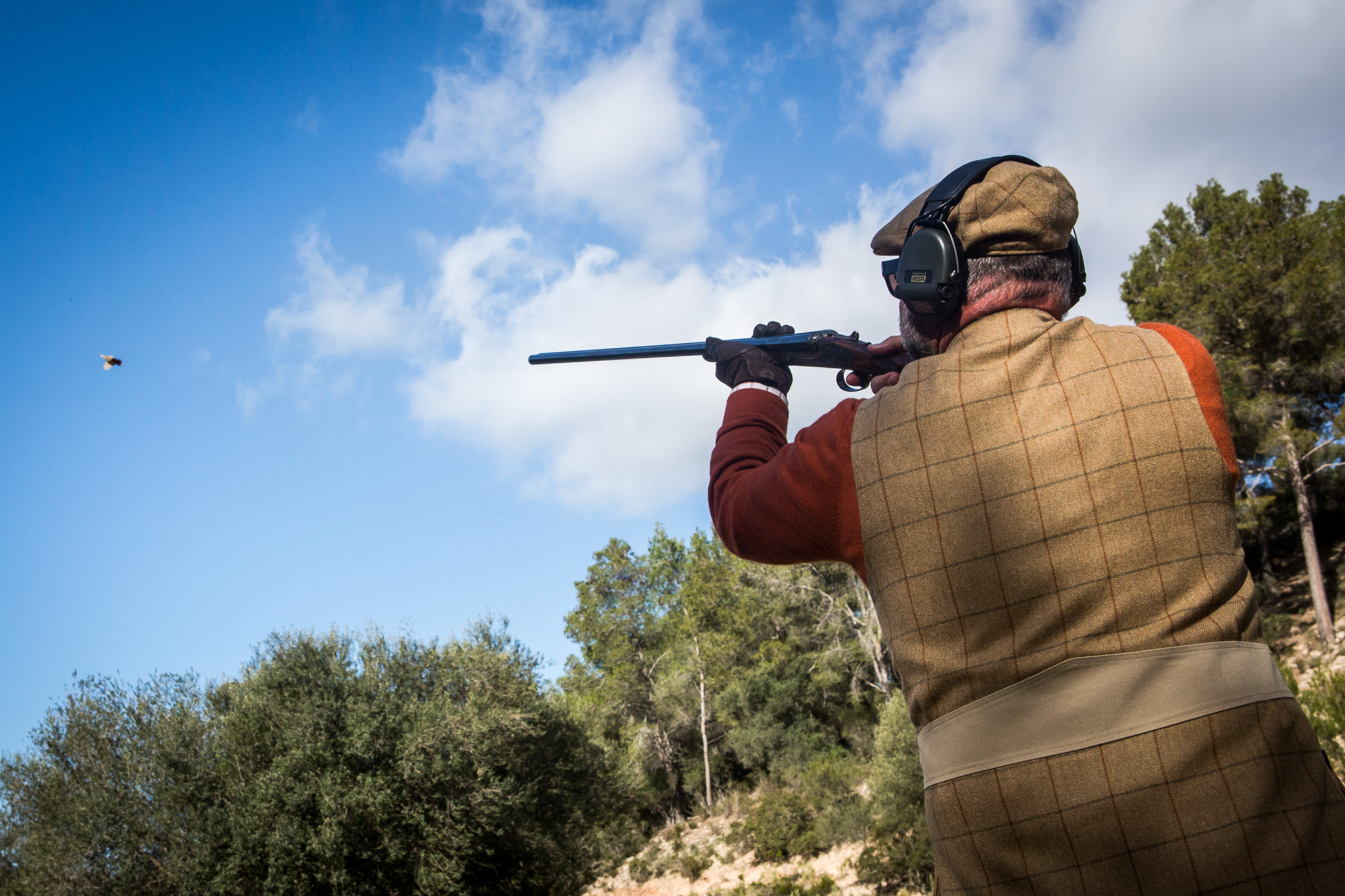 Las Barracas partridge shooting