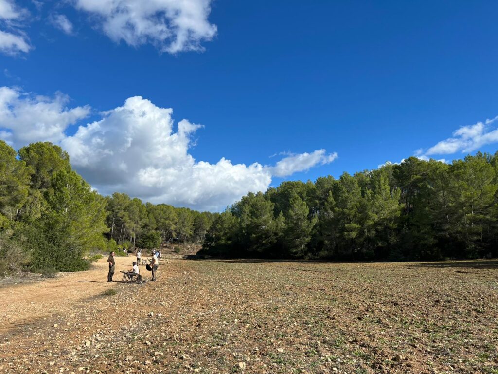 Driven partridge shooting at Las Barracas, Mallorca