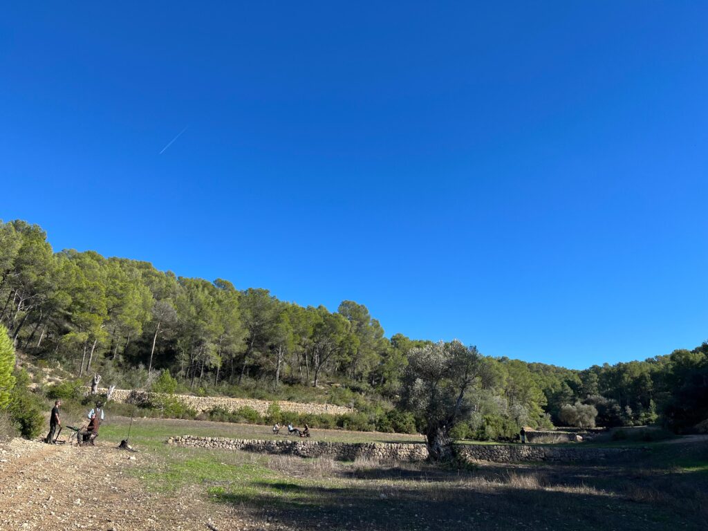 Las Barracas spanish partridge shooting estate