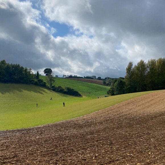 View of Simulated game day in valley in the Cotswolds