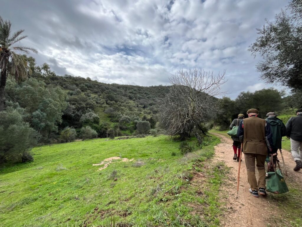 Team of guns walking in Los Melonares shooting estate