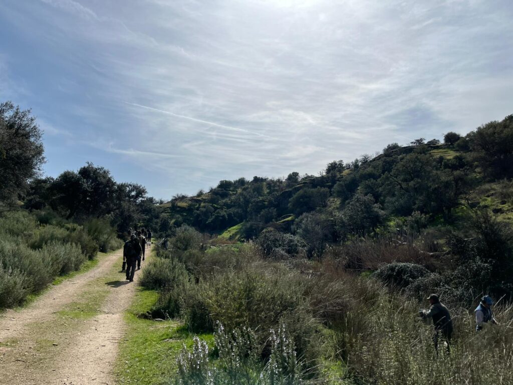 Partridge shooting drive at Ventosilla