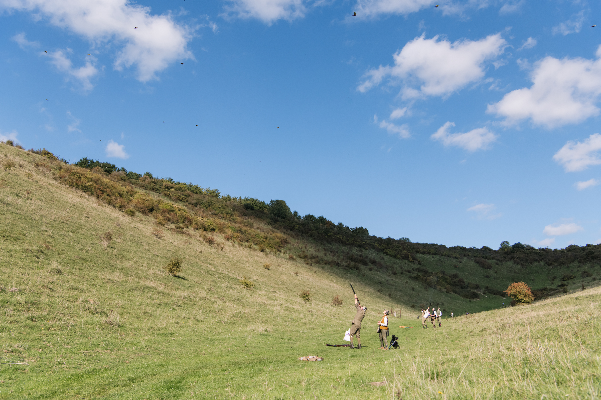 Partridge shooting at Prescombe