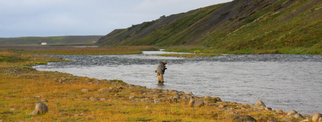 Hofsa river Iceland